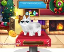 Upiększ świąteczne zwierzaki