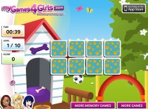 Pieskowa pamięciówka