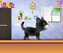 Salon piękności dla kota