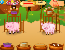 Opieka nad świnkami