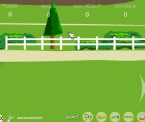 Wystrzeliwanie kurczaka