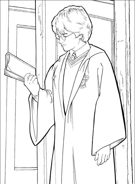 Harry Potter #48