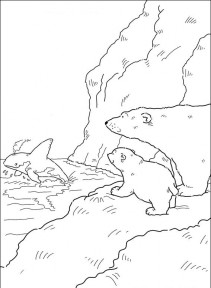 Mały polarny miś #13