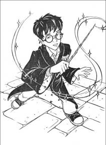 Harry Potter #16
