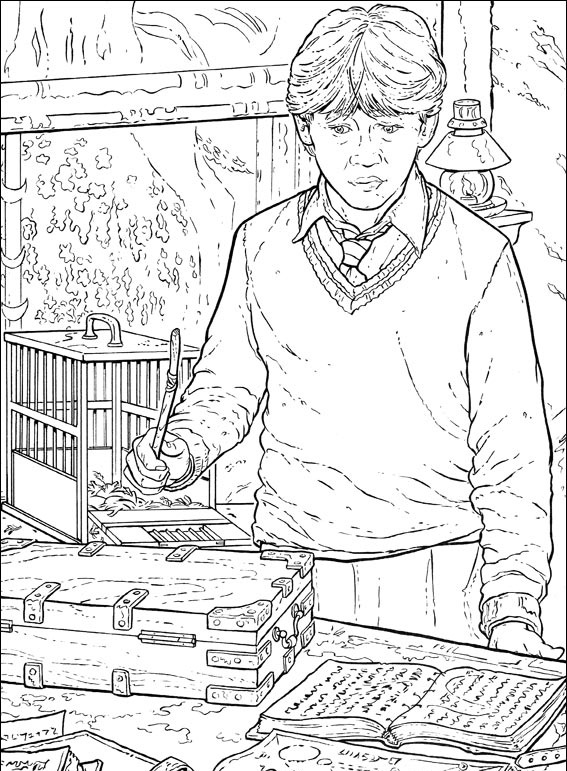 Harry Potter #44