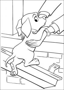 102 dalmatyńczyki #12