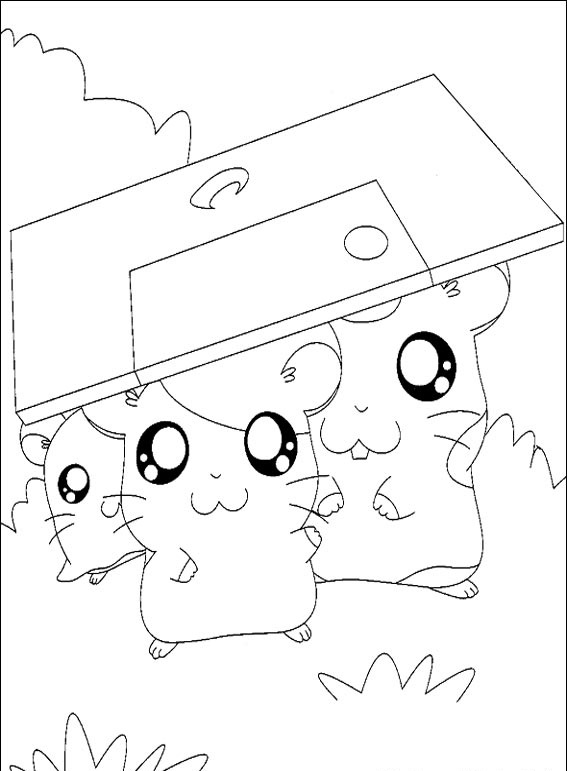 Hamtaro #23
