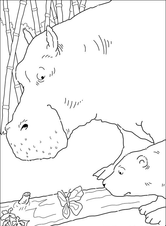 Mały polarny miś #22