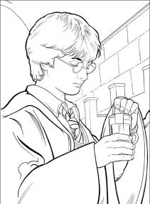 Harry Potter #46