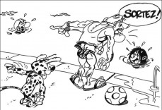 Marsupilami #4