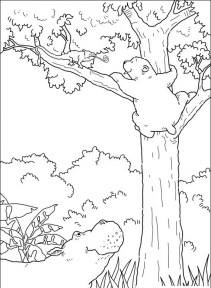 Mały polarny miś #23