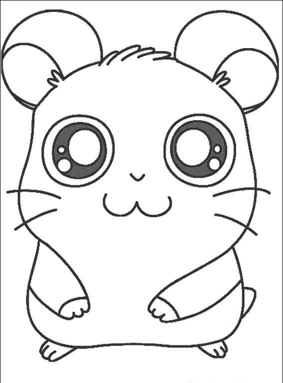Hamtaro #6