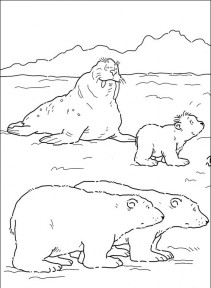 Mały polarny miś #36