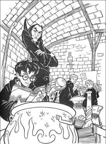 Harry Potter #28