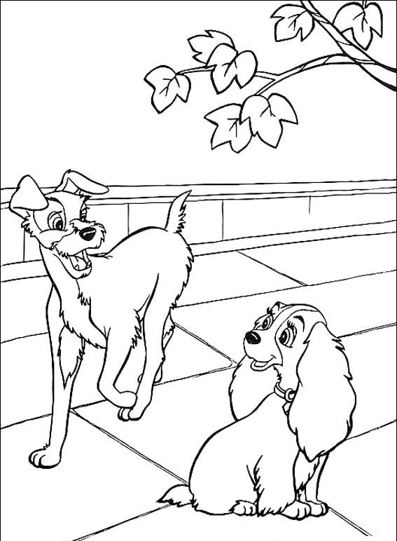 Zakochany kundel #18