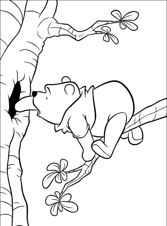 Kubuś Puchatek i Przyjaciele #71