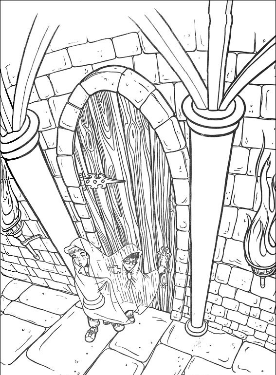 Harry Potter #30