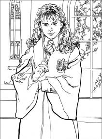 Harry Potter #43
