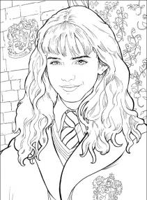 Harry Potter #51