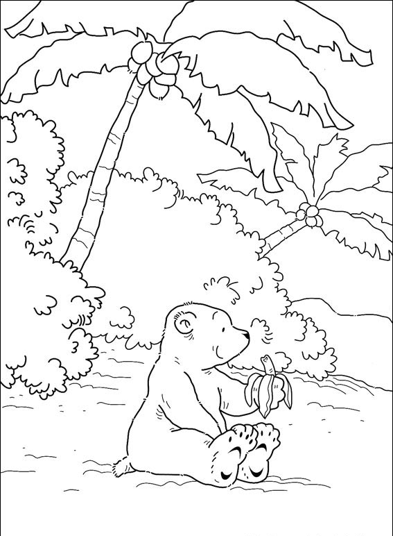 Mały polarny miś #24