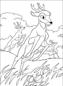 Bambi #38