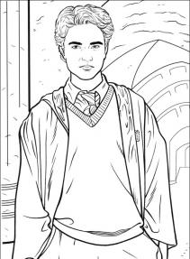 Harry Potter #70