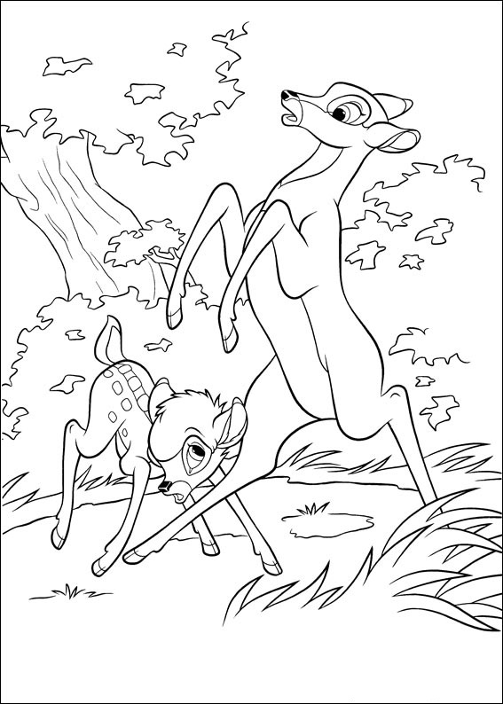 Bambi #49