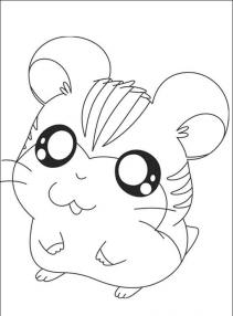 Hamtaro #1