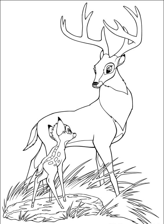 Bambi #54