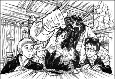 Harry Potter #27