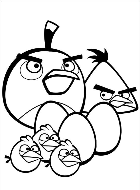 Angry Birds #67