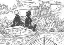 Harry Potter #7