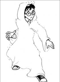 Harry Potter #17