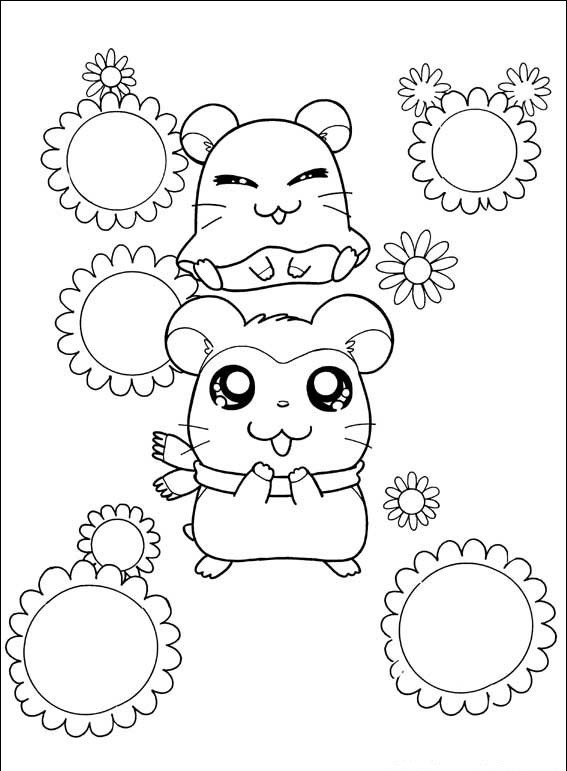 Hamtaro #17