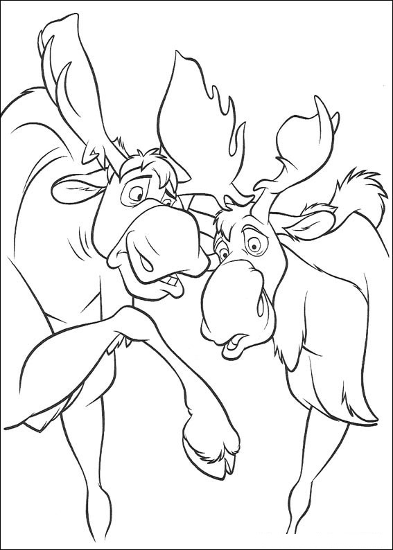 Mój brat niedźwiedź #17