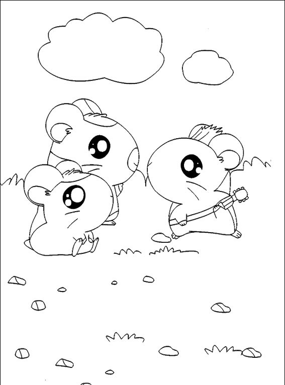 Hamtaro #24