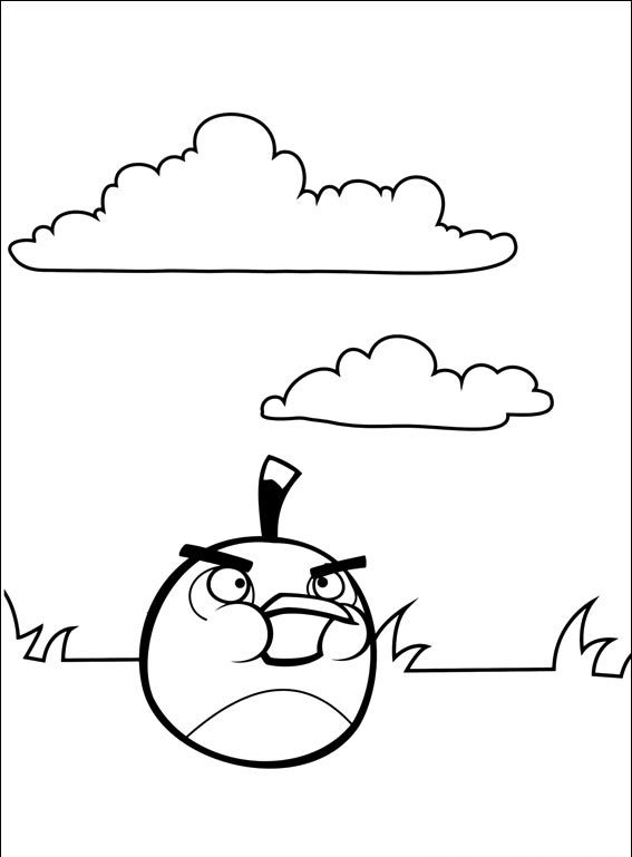 Angry Birds #11