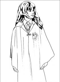 Harry Potter #34