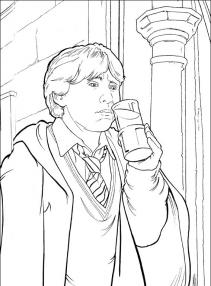 Harry Potter #47