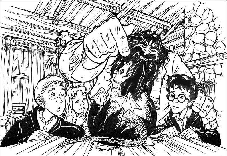 Harry Potter #27