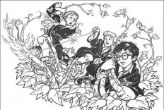 Harry Potter #28