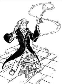 Harry Potter #19