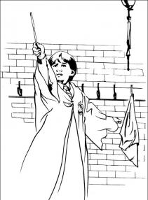 Harry Potter #38