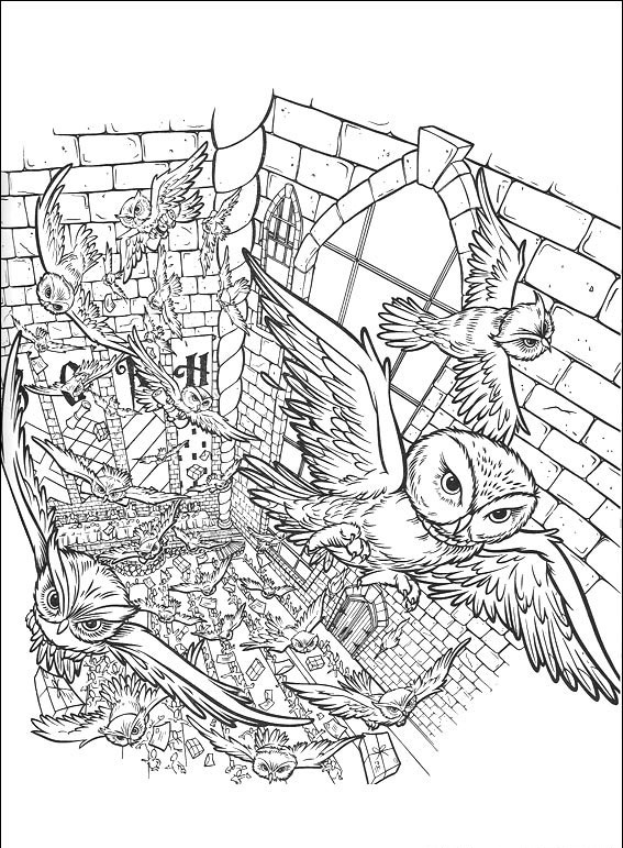 Harry Potter #12