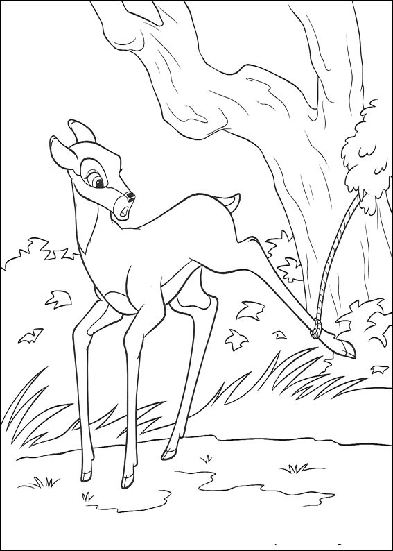 Bambi #78
