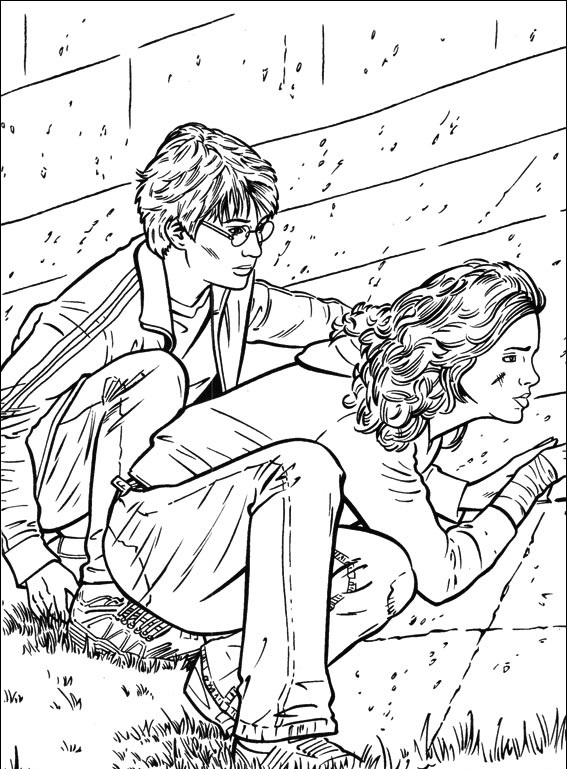 Harry Potter #66