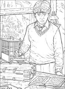 Harry Potter #44