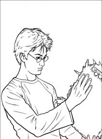 Harry Potter #58