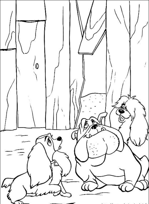 Zakochany kundel #13