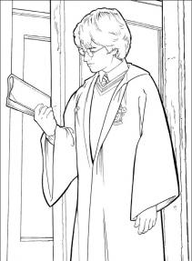 Harry Potter #48